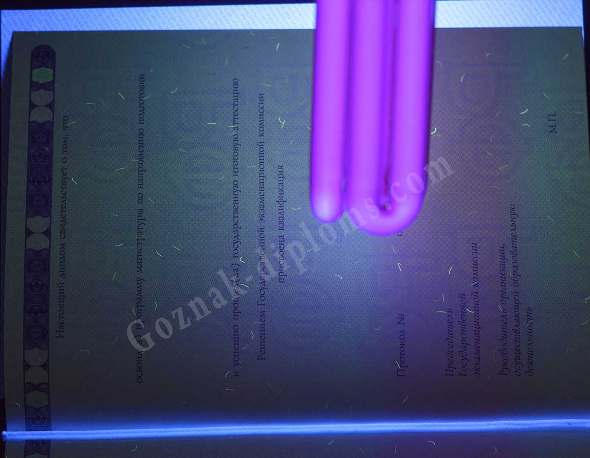 Диплом магистра 2014-2026