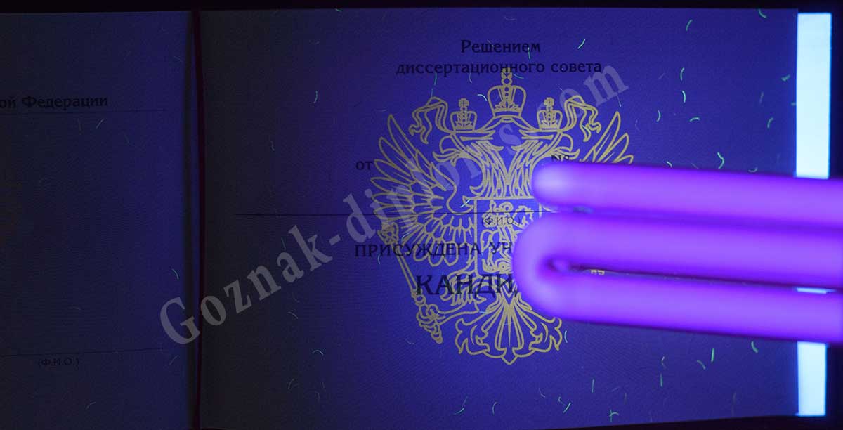 Диплом кандидата наук 2007-2026